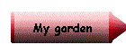 My garden
