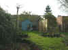 11-november-tuin.jpg (65600 bytes)