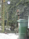 12 feb 12 kleine foto (3).JPG (60130 bytes)