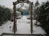 17-Dec-09-(1).gif (258583 bytes)