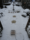 18-december-10-(20).gif (203671 bytes)