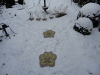 18-december-10-(21).gif (199912 bytes)