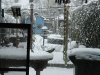 19-december-10-(19).gif (222785 bytes)