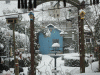 19-december-10-(9).gif (248569 bytes)
