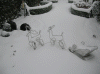 20-dec-09-(5).gif (231193 bytes)
