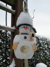 20-december-2010-(5).gif (165518 bytes)