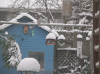 20-decmber-2010-(11).gif (232353 bytes)