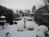 20-decmber-2010-(4).gif (191424 bytes)