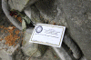 2010 07 London (105).gif (199273 bytes)