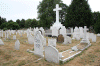 2010 07 London (107).gif (174567 bytes)