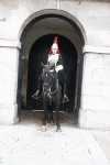 2010 07 London (145).gif (148649 bytes)