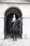 2010 07 London (147).gif (156900 bytes)