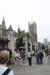2010 07 London (165).gif (130392 bytes)