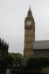 2010 07 London (167).gif (115758 bytes)