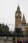 2010 07 London (169).gif (134979 bytes)
