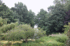 2010 07 London (178).gif (201048 bytes)