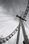 2010 07 London (205).gif (159974 bytes)