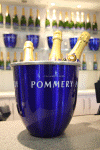 2010 07 London (208).gif (142066 bytes)