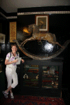 2010 07 London (232).gif (141843 bytes)