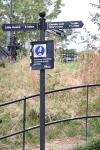 2010 07 London (60).gif (195045 bytes)