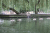 2010 07 London (68).gif (205638 bytes)