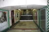 2010 07 London (78).gif (142435 bytes)