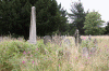 2010 07 London (86).gif (196982 bytes)