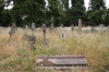 2010 07 London (87).gif (205852 bytes)