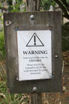 2010 07 London (91).gif (185389 bytes)