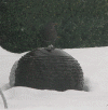 21-dec-09.gif (318042 bytes)