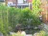 27-mei-tuin-4.jpg (104023 bytes)