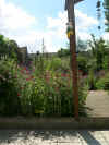 28-juni-tuin.jpg (74862 bytes)