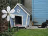 7th April 2012.JPG (87363 bytes)
