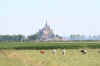31-juli-07-(44).jpg (39385 bytes)