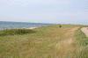 Denemarken-09-(100).gif (163700 bytes)