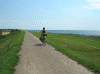 Denemarken-09-(103).gif (167613 bytes)