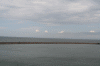 Denemarken-09-(10).gif (136571 bytes)