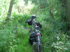 Denemarken-09-(114).gif (264082 bytes)