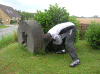 Denemarken-09-(136).gif (195260 bytes)