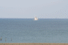 Denemarken-09-(13).gif (135132 bytes)