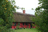 Denemarken-09-(142).gif (179116 bytes)