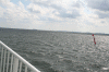 Denemarken-09-(148).gif (171294 bytes)