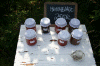 Denemarken-09-(159).gif (140557 bytes)