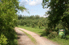 Denemarken-09-(161).gif (201044 bytes)