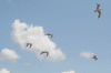 Denemarken-09-(181).gif (174155 bytes)