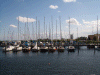 Denemarken-09-(191).gif (154843 bytes)