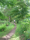 Denemarken-09-(198).gif (270686 bytes)