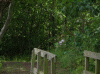 Denemarken-09-(199).gif (252721 bytes)