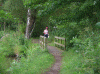 Denemarken-09-(200).gif (451652 bytes)