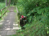 Denemarken-09-(201).gif (247993 bytes)